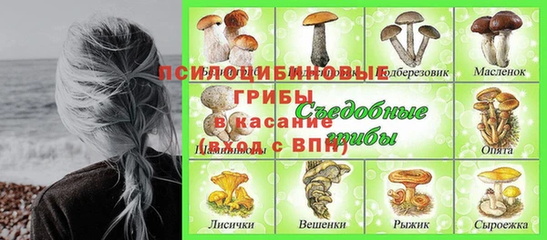 твердый Бронницы